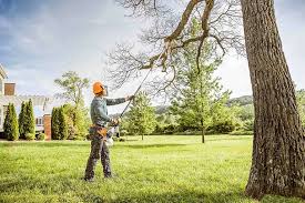 Best Seasonal Cleanup (Spring/Fall)  in Allendale, NJ