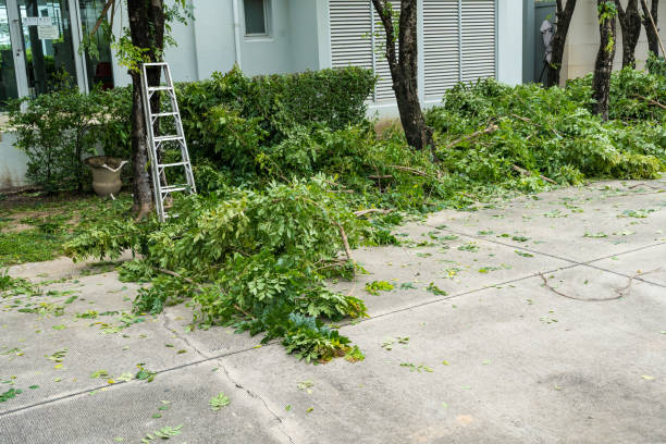 Best Commercial Tree Services  in Allendale, NJ